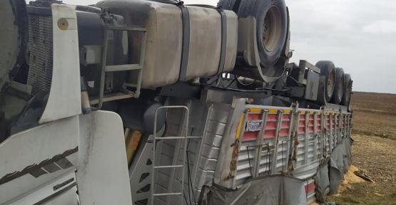 Urfa'da mısır yüklü kamyon devrildi