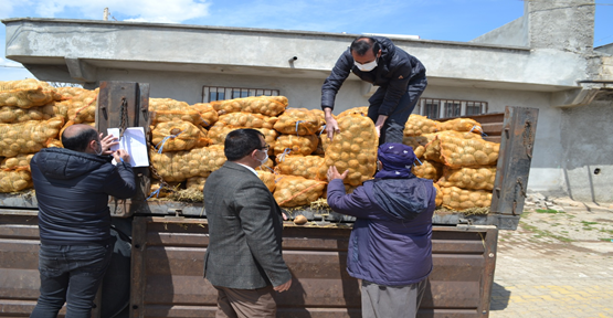 Urfa’da ücretsiz patates dağıtılmaya başlandı