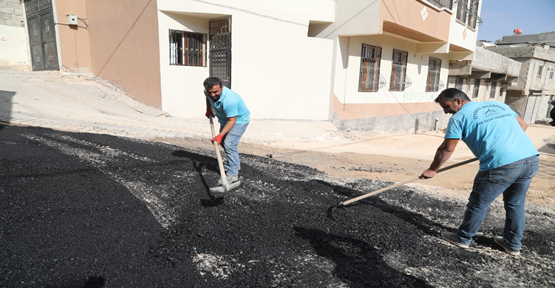 Eyyübiye’de Ara caddeler bir bir asfaltlanıyor