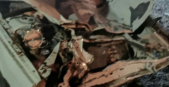 Şanlıurfa'da otomobil ineği çarptı, 5 yaralı