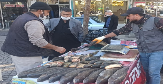 Suriye'da balıkçılık mesleğini Şanlıurfa'da devam ettiriyorlar