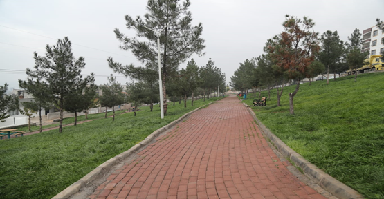 Eyyübiye Belediyesinden 18 Dönümlük Yeni Bir Park Daha
