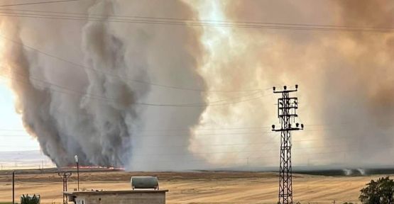 Siverek'te binlerce dönüm arazide yangın