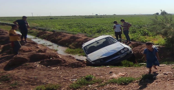 Harran'da  trafik kazası