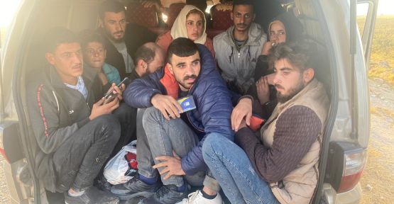 Akçakale'de 18 kaçak göçmen yakalandı