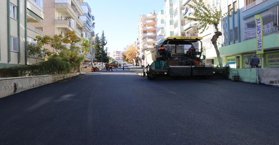 Haliliye’de Yollar Sıcak Asfalt Ve Parke Çalışmalarıyla Yenileniyor