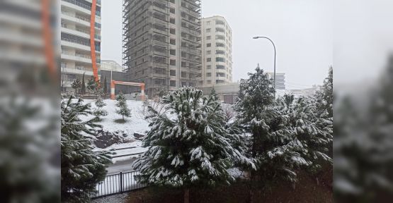 Şanlıurfa'da kar yağışı başladı