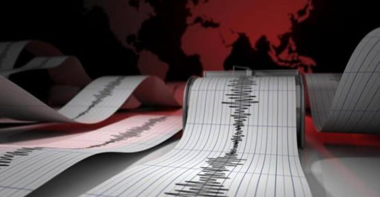 Eyyübiye'de deprem