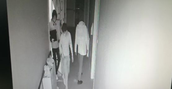 Şanlıurfa'da hırsızlar kıskıvrak yakalandı
