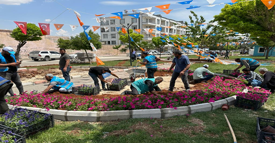 Eyyübiye'da Çiçekler açıyor