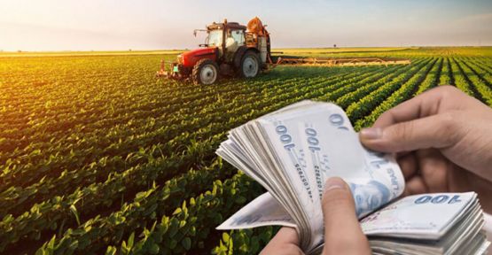 Tarımsal desteklemede ödemeler bugün hesaplara yatacak
