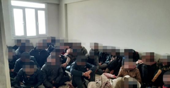 Şanlıurfa'da göçmen kaçakçılığı, 9 tutuklama