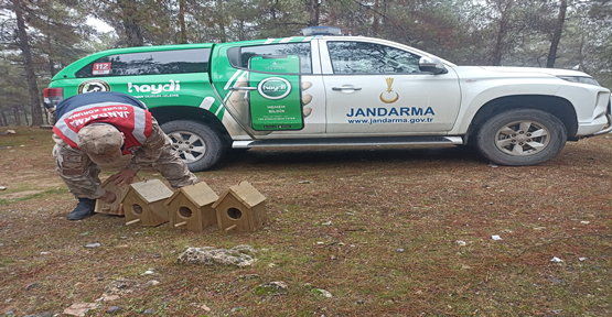 Jandarma 'Haydi' ekipleri, sahipsiz hayvanları besliyor