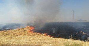 Eyyübiye'de anız yangını
