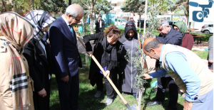 Şanlıurfalı Arfin Şehidin İsminin Verildiği Park Zeytin Fidanı Dikildi