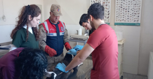 HAYDİ Şanlıurfa'da selden zarar gören hayvanlara sahip çıktı