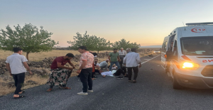 Viranşehir'de trafik kazası, 3 yaralı